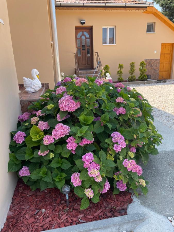 Halmaj Toerpi Apartman מראה חיצוני תמונה